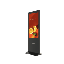 CiNEXA WSI55F Digital Signage Display